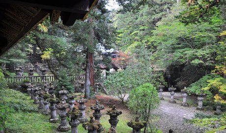 Nikko treasury